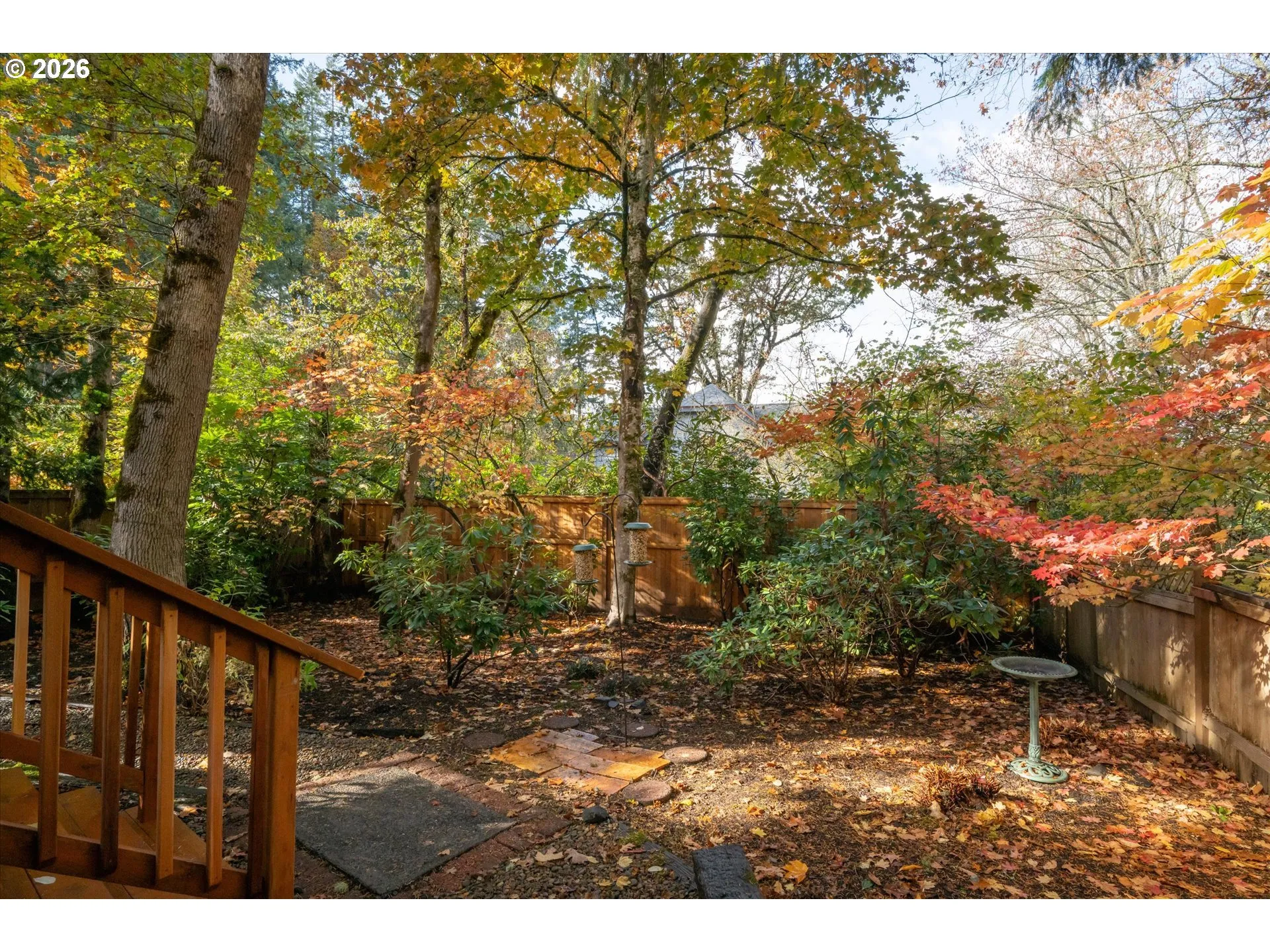 Backyard-Fenced