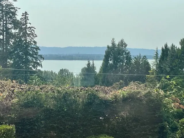Living Room-View From