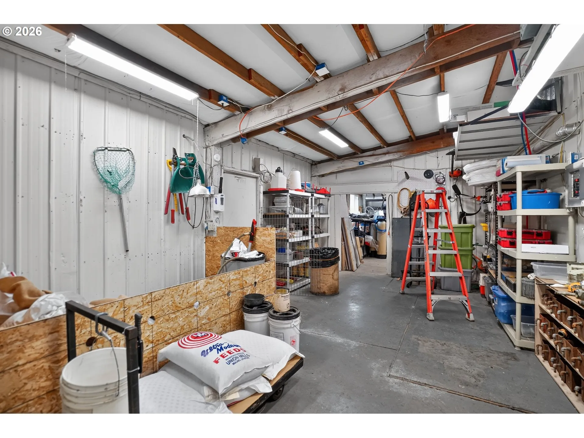 Shop