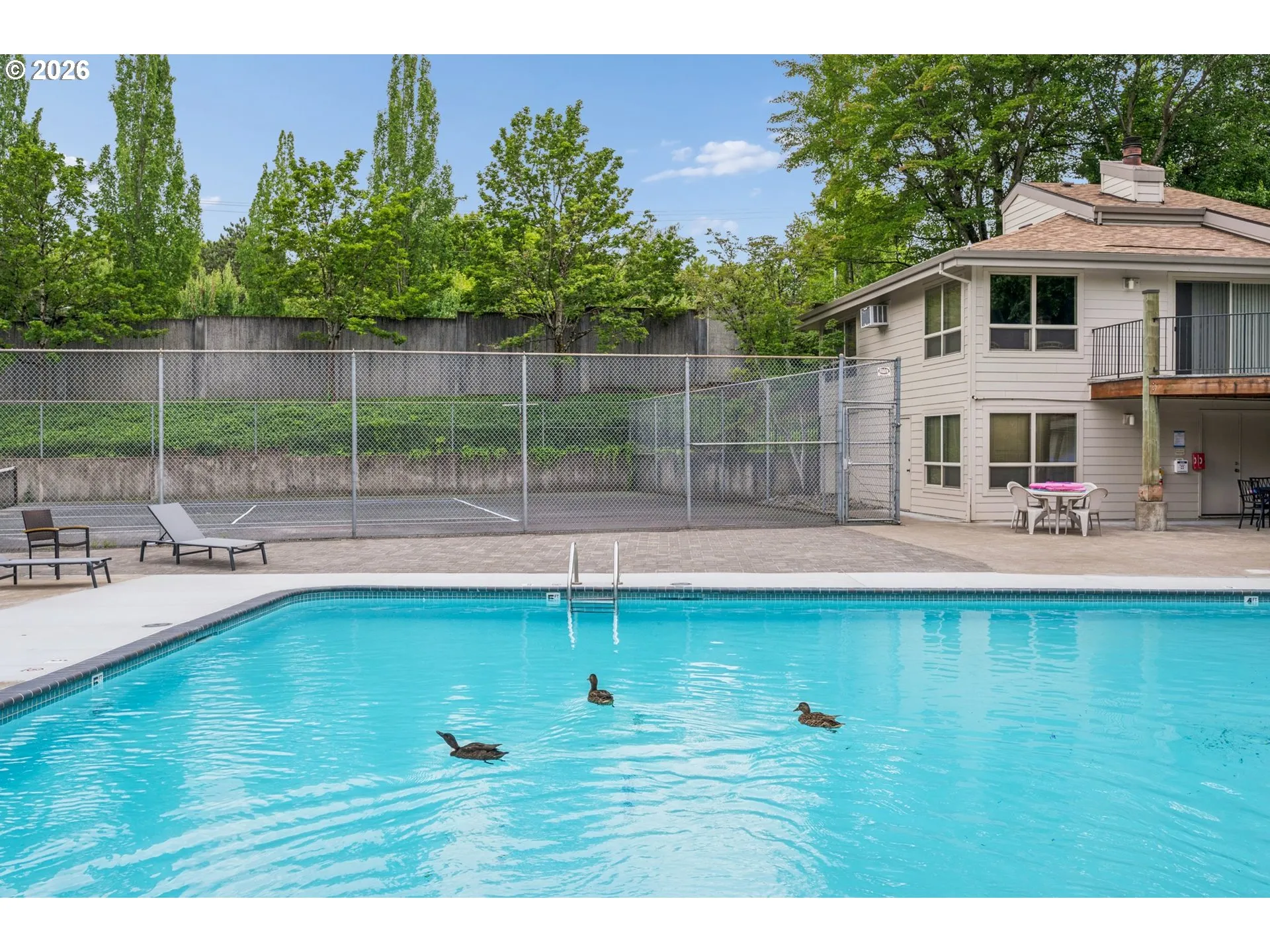 Community Pool