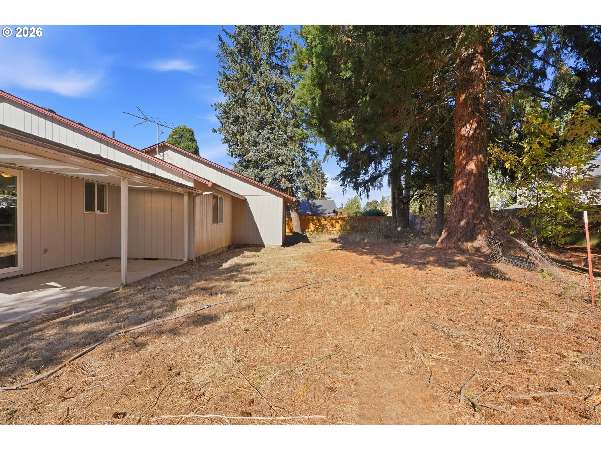 Backyard-Fenced
