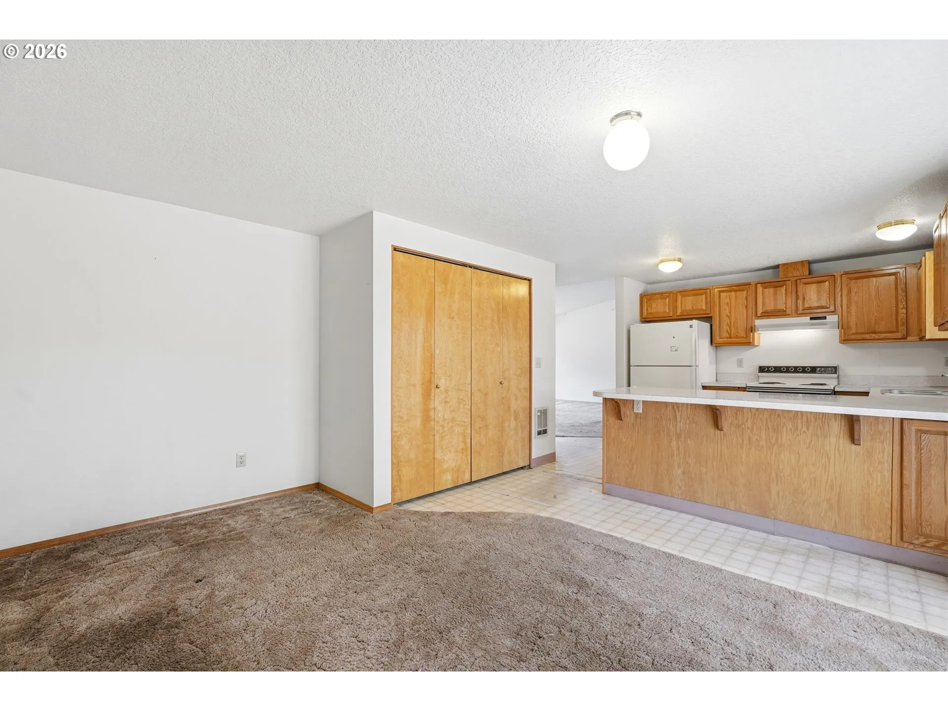 Kitchen/Living Room