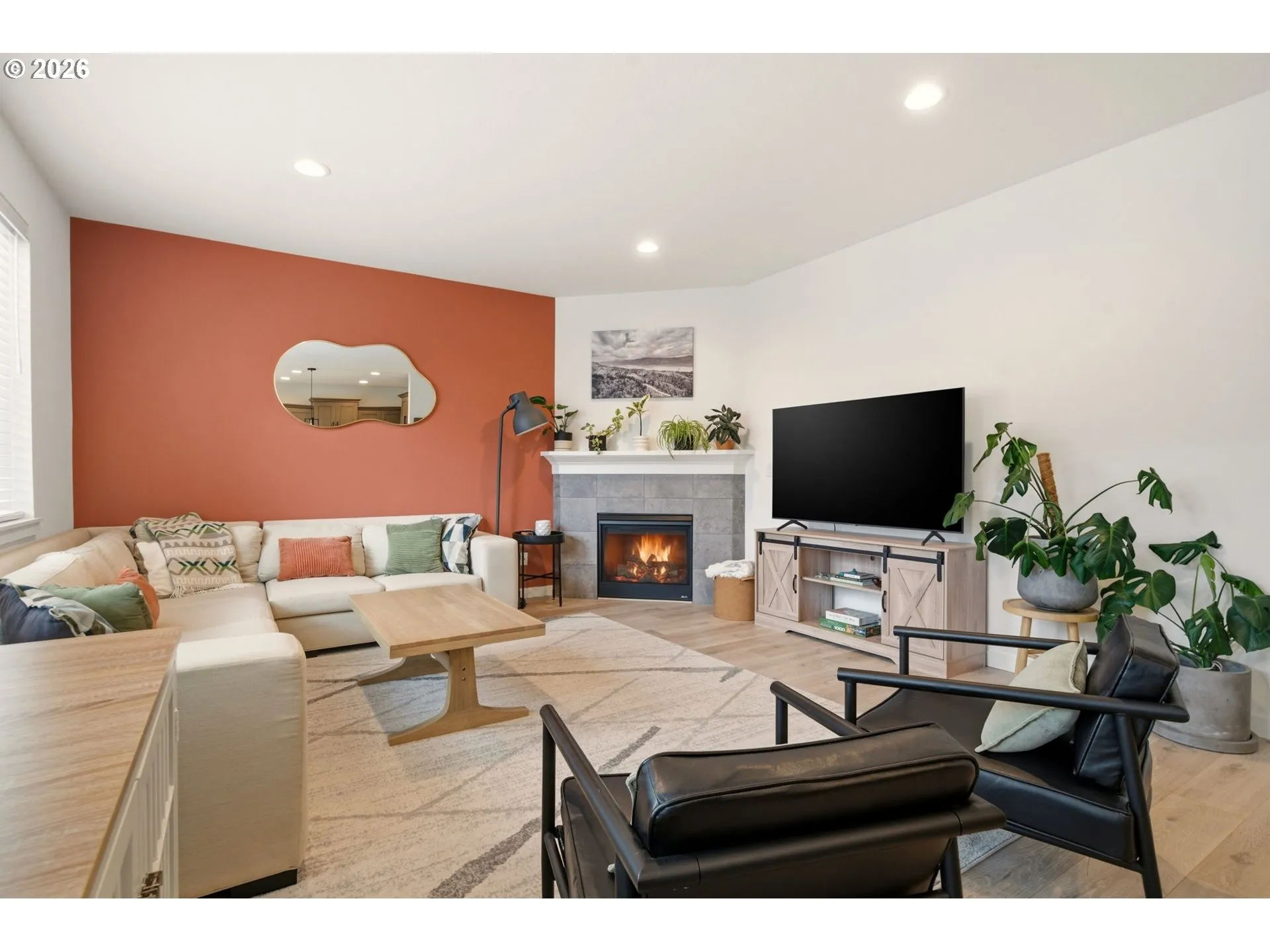 Fireplace Gas