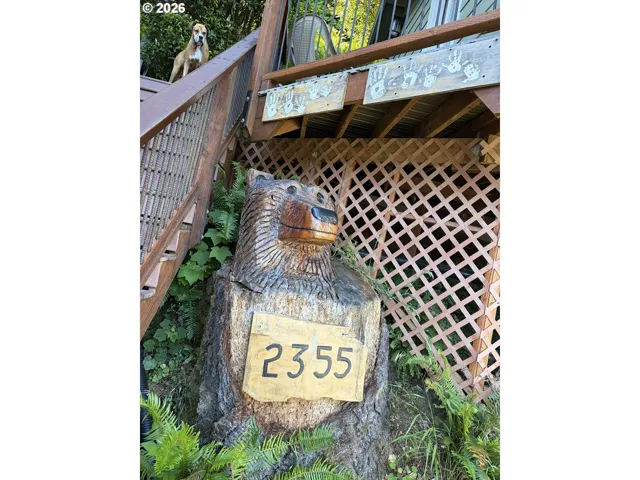 Deck-Lower