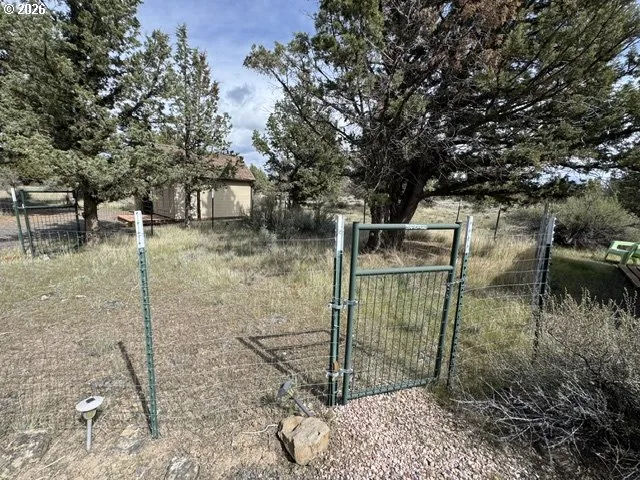 Dog Run