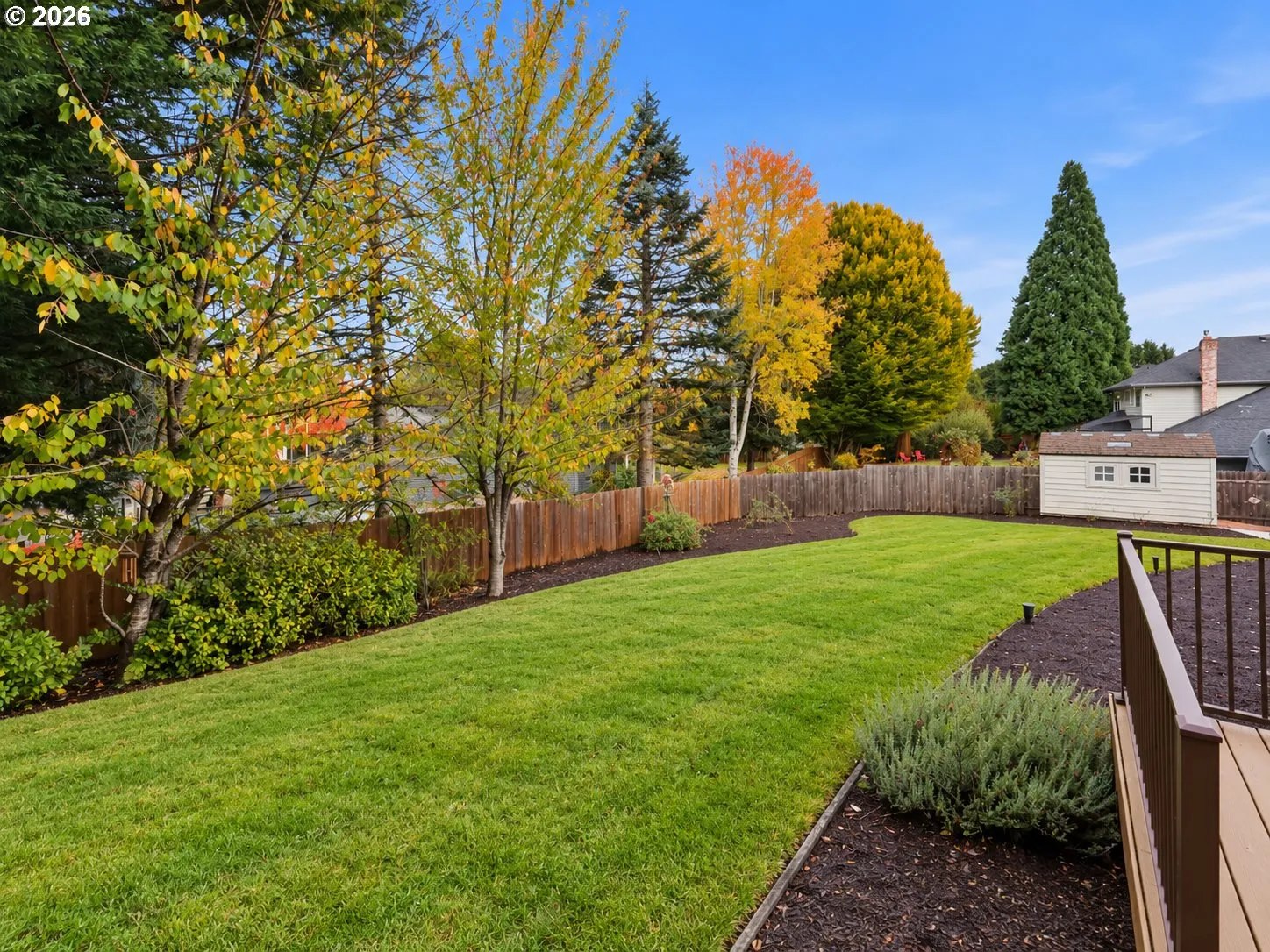 Backyard-Fenced