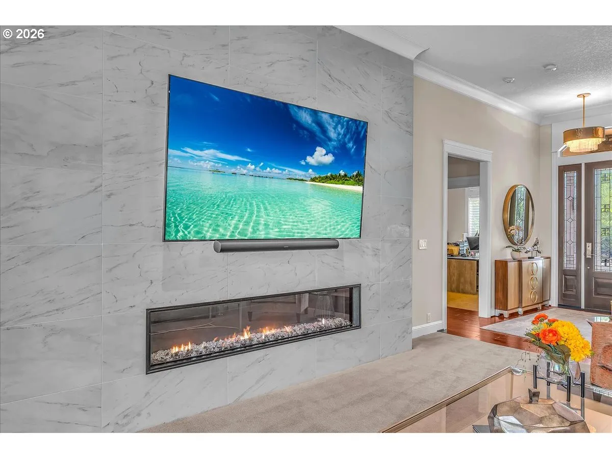 Fireplace Insert
