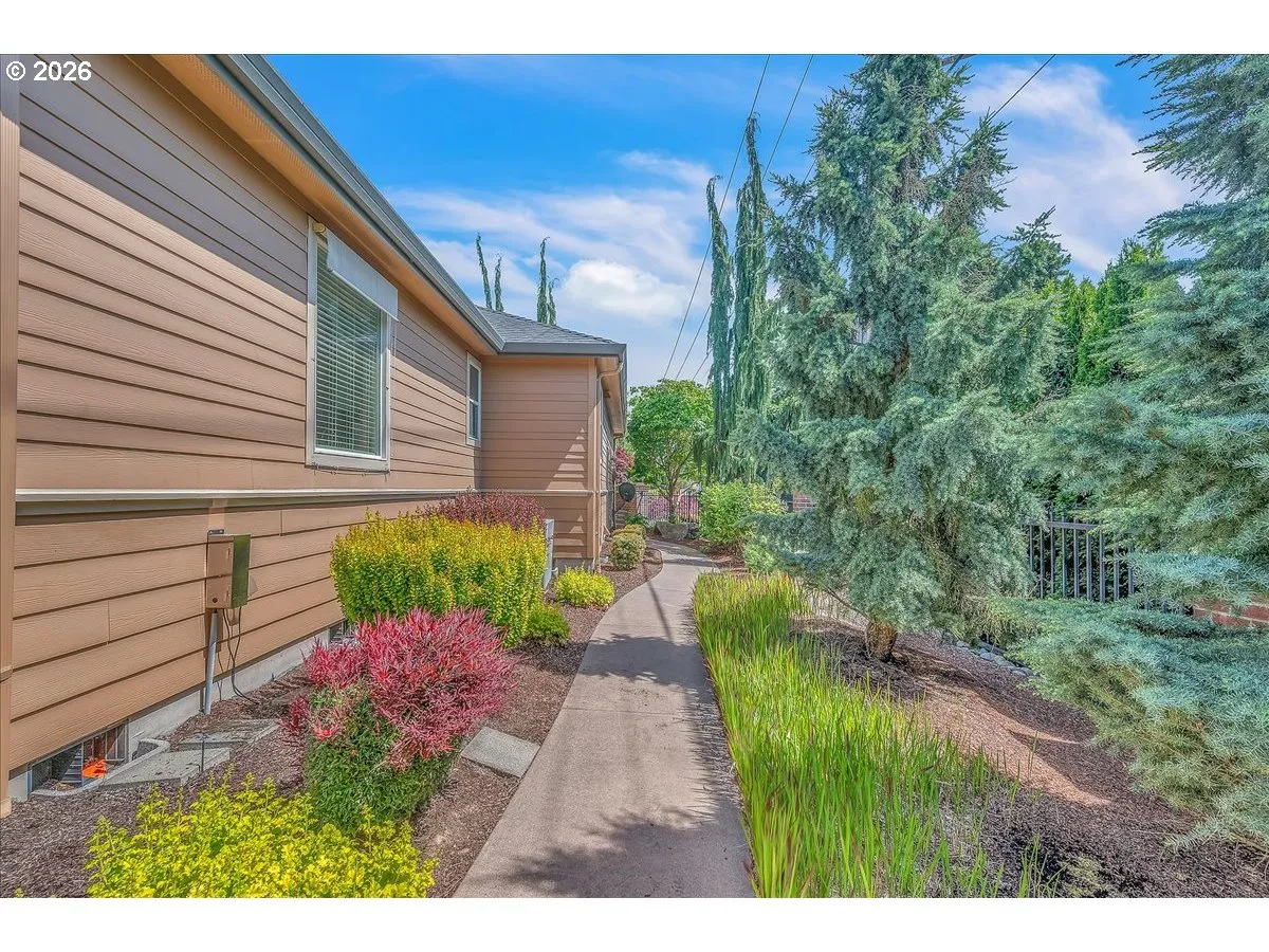 Yard-Landscaped
