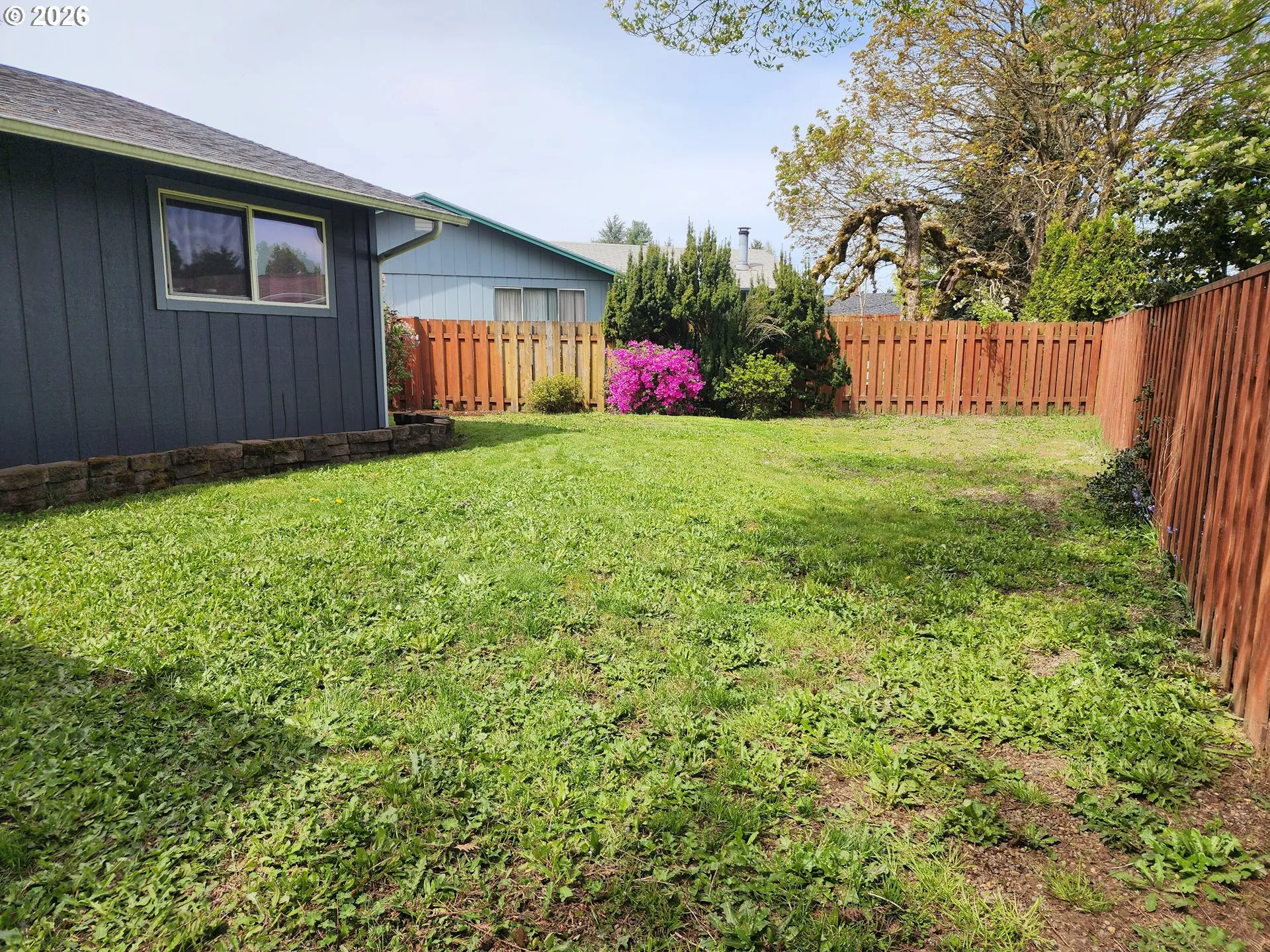 Yard
