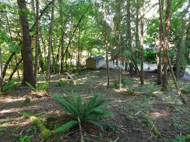 Yard-Trees