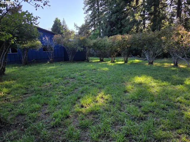 Acreage
