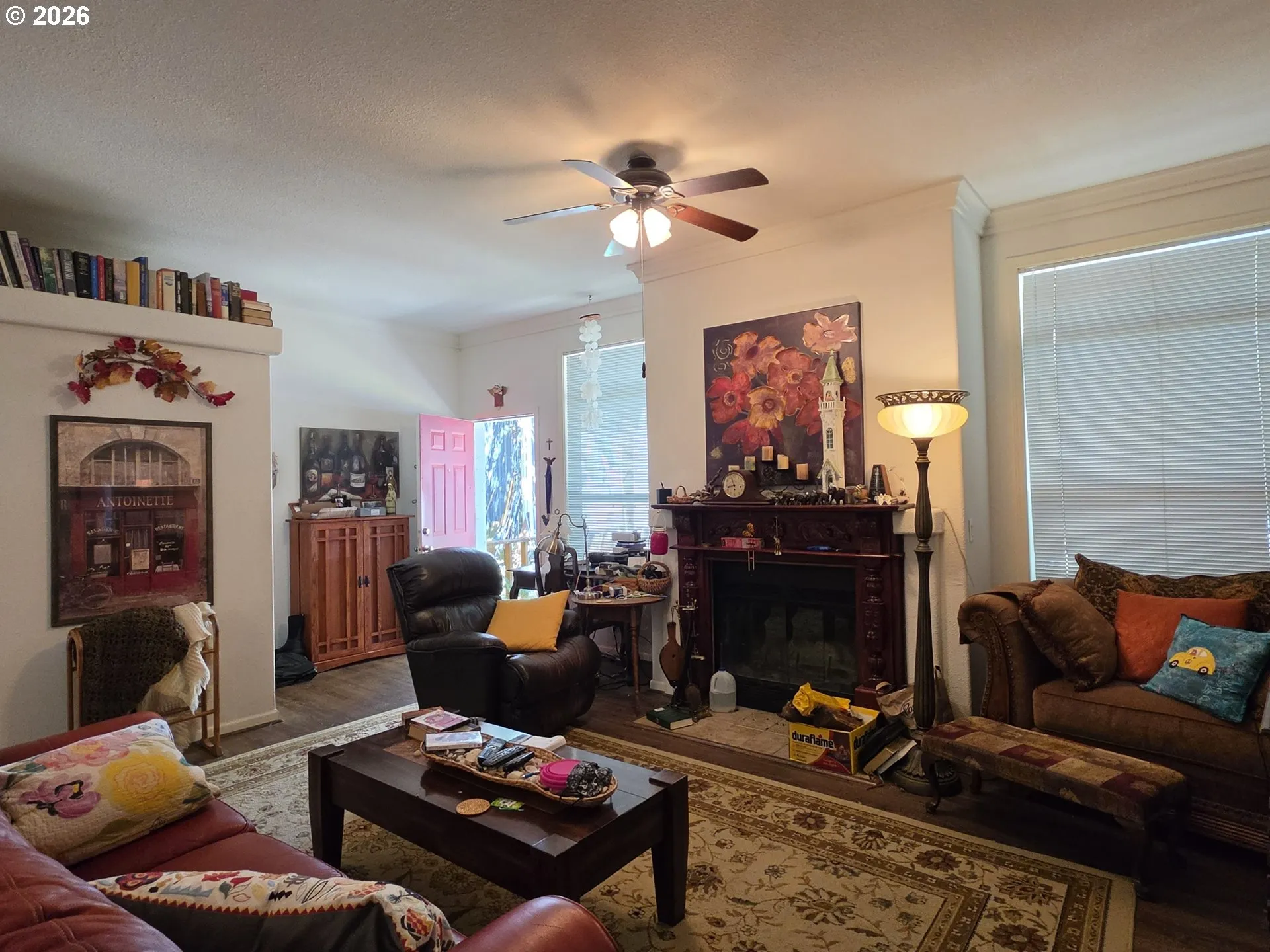Living Room/Entrance