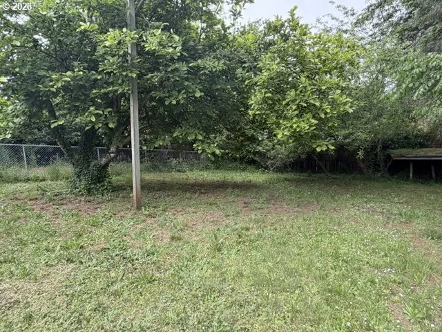 Yard