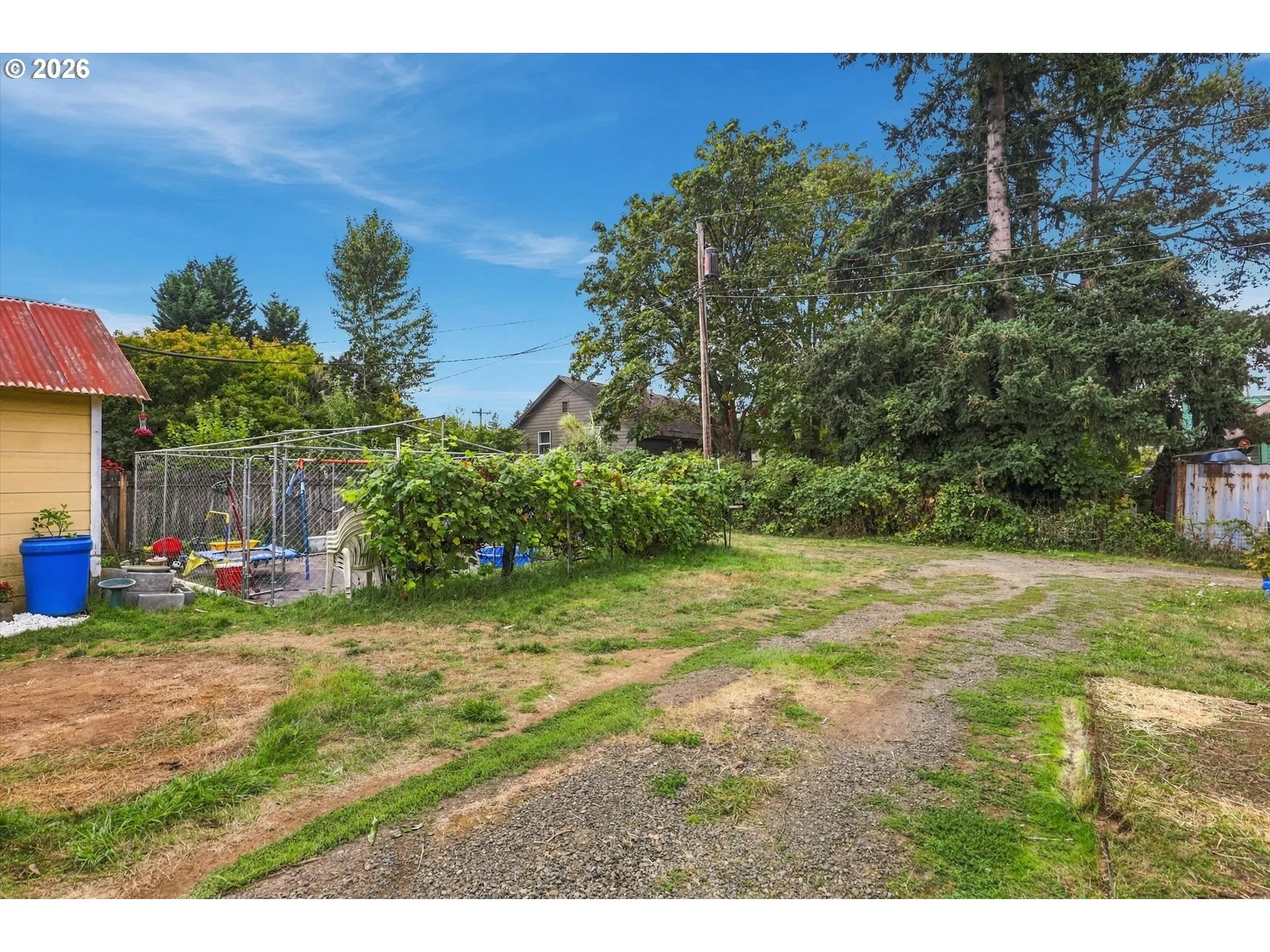 Backyard