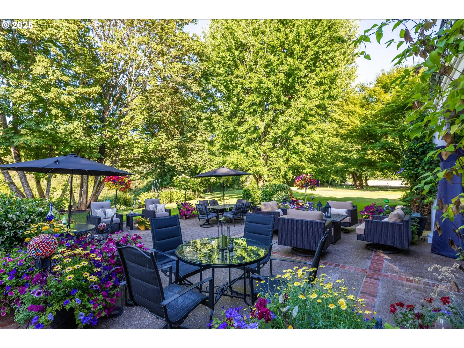 Patio-Backyard
