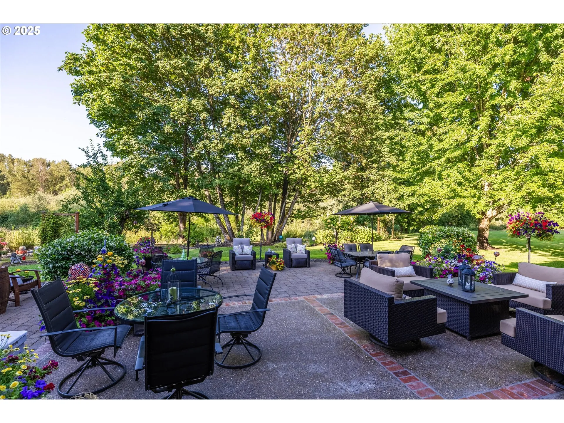 Patio-Backyard