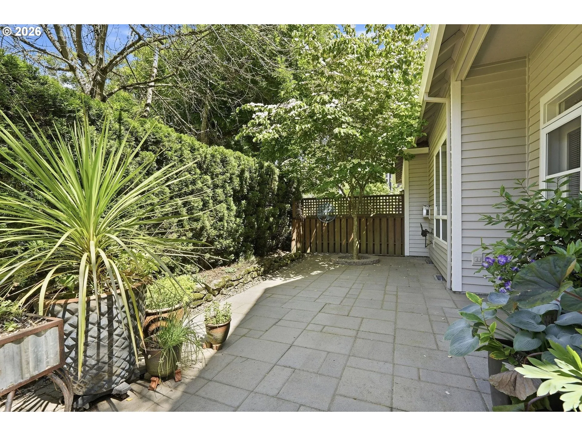 Patio-Backyard