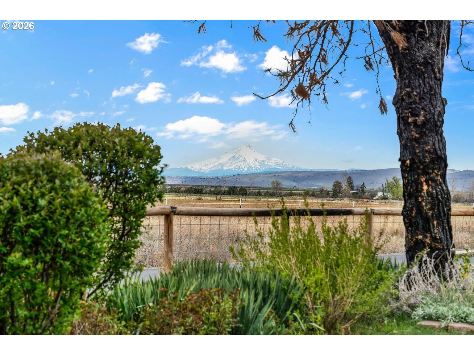 View-Mountain