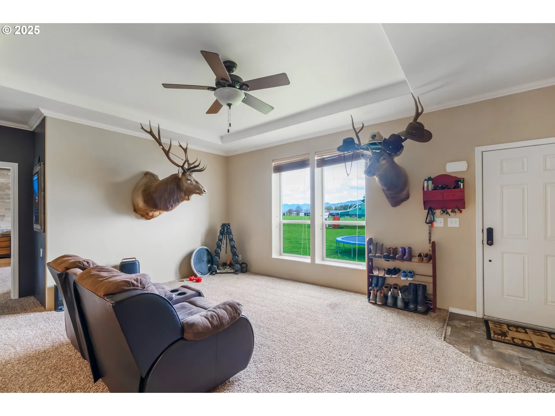 Living Room-Ceiling Fan