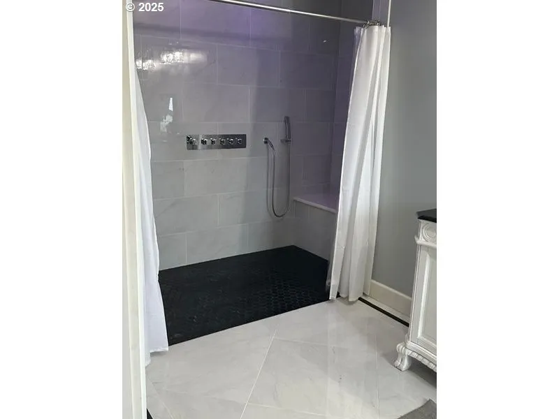 Owner's Suite Bathroom-Walk in Shower