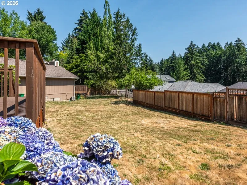 Yard-Back