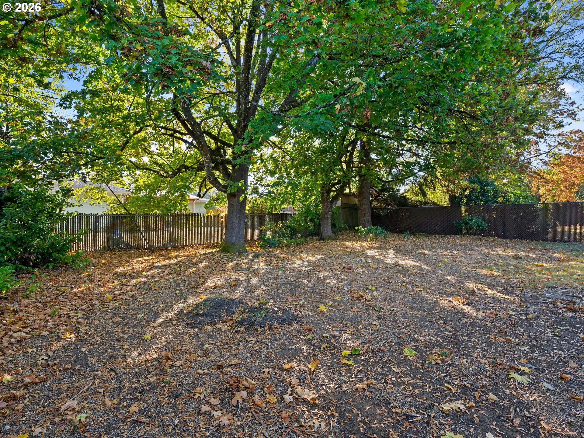 Backyard