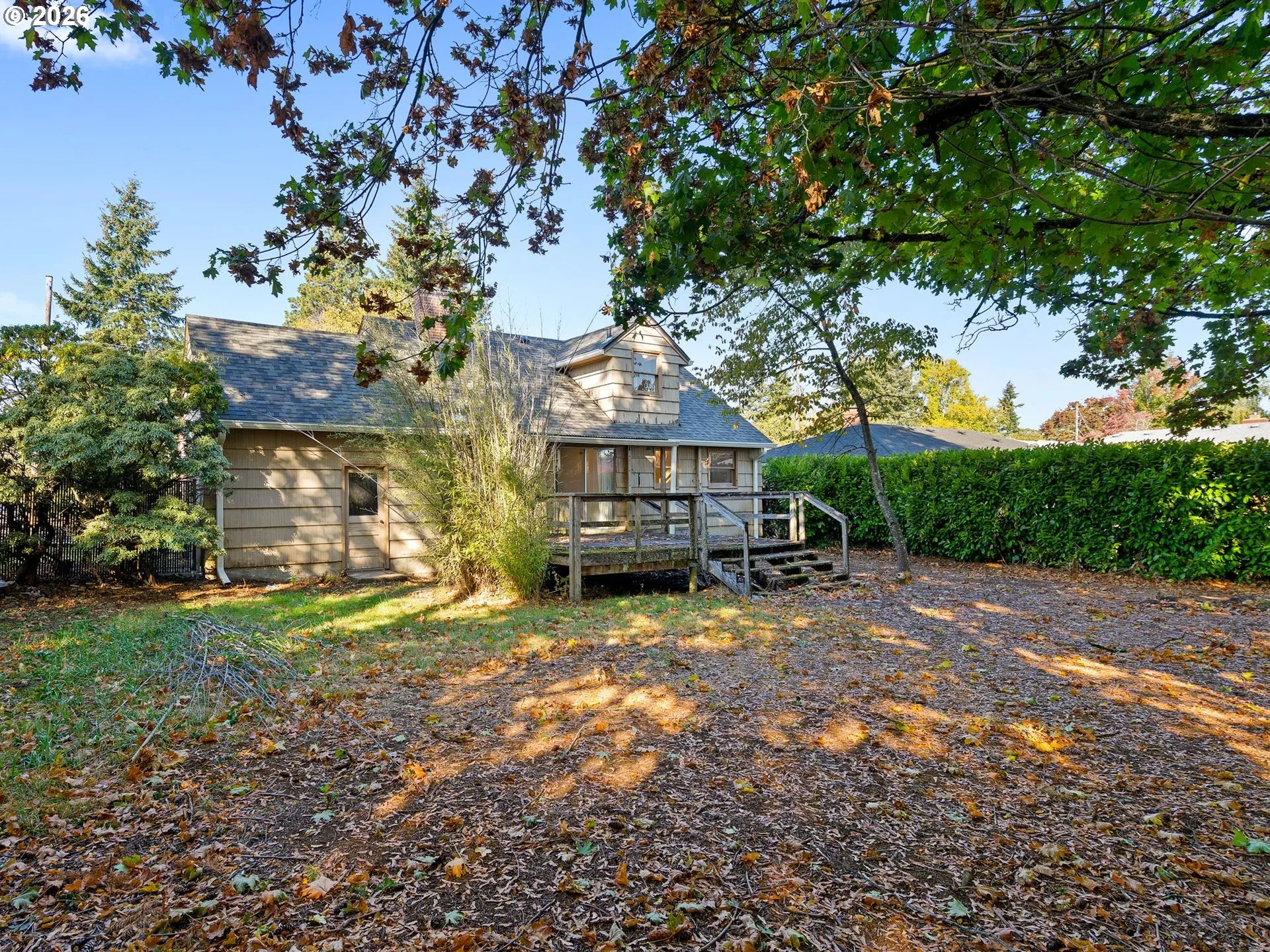 Backyard