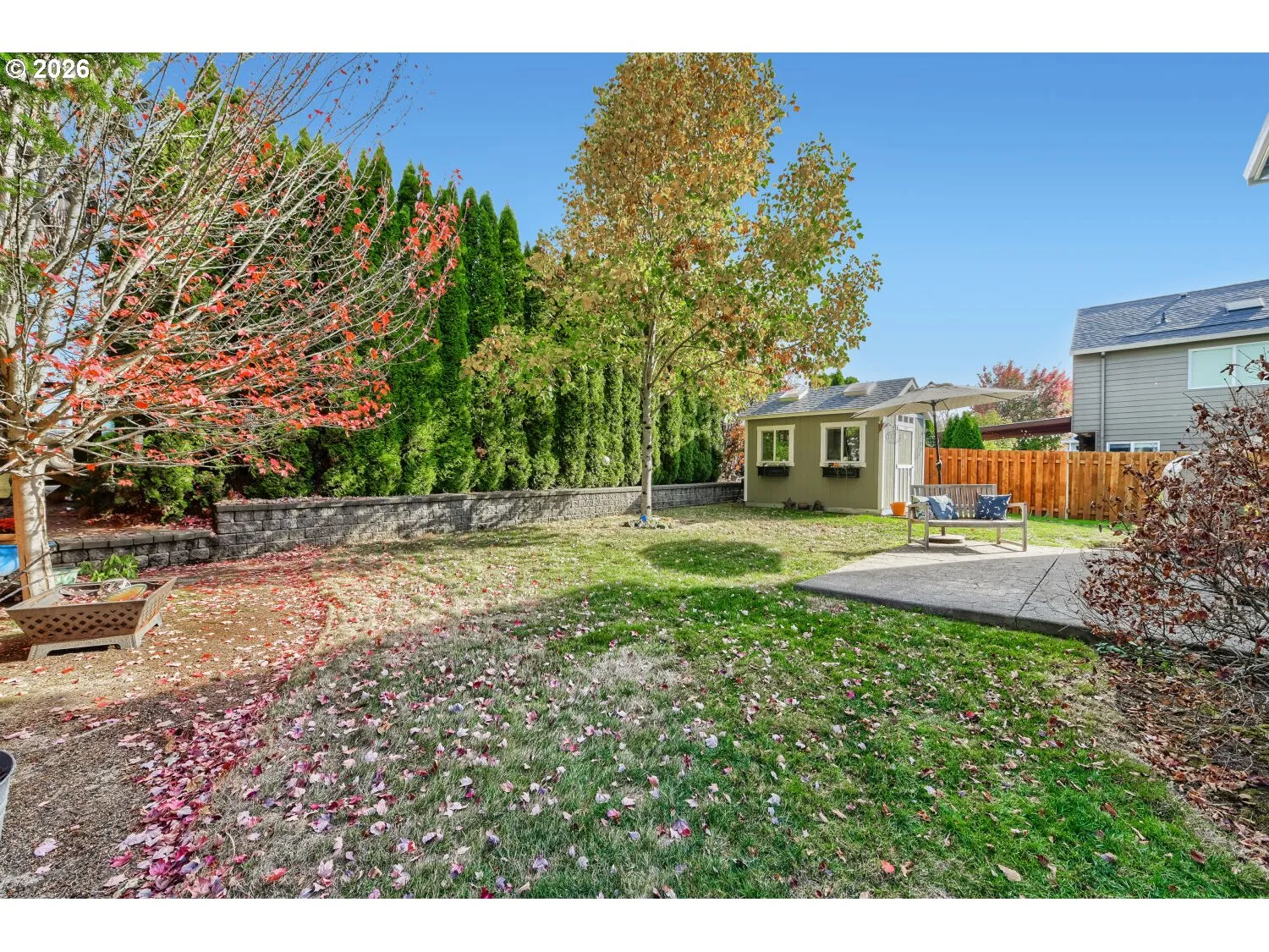 Backyard-Fenced