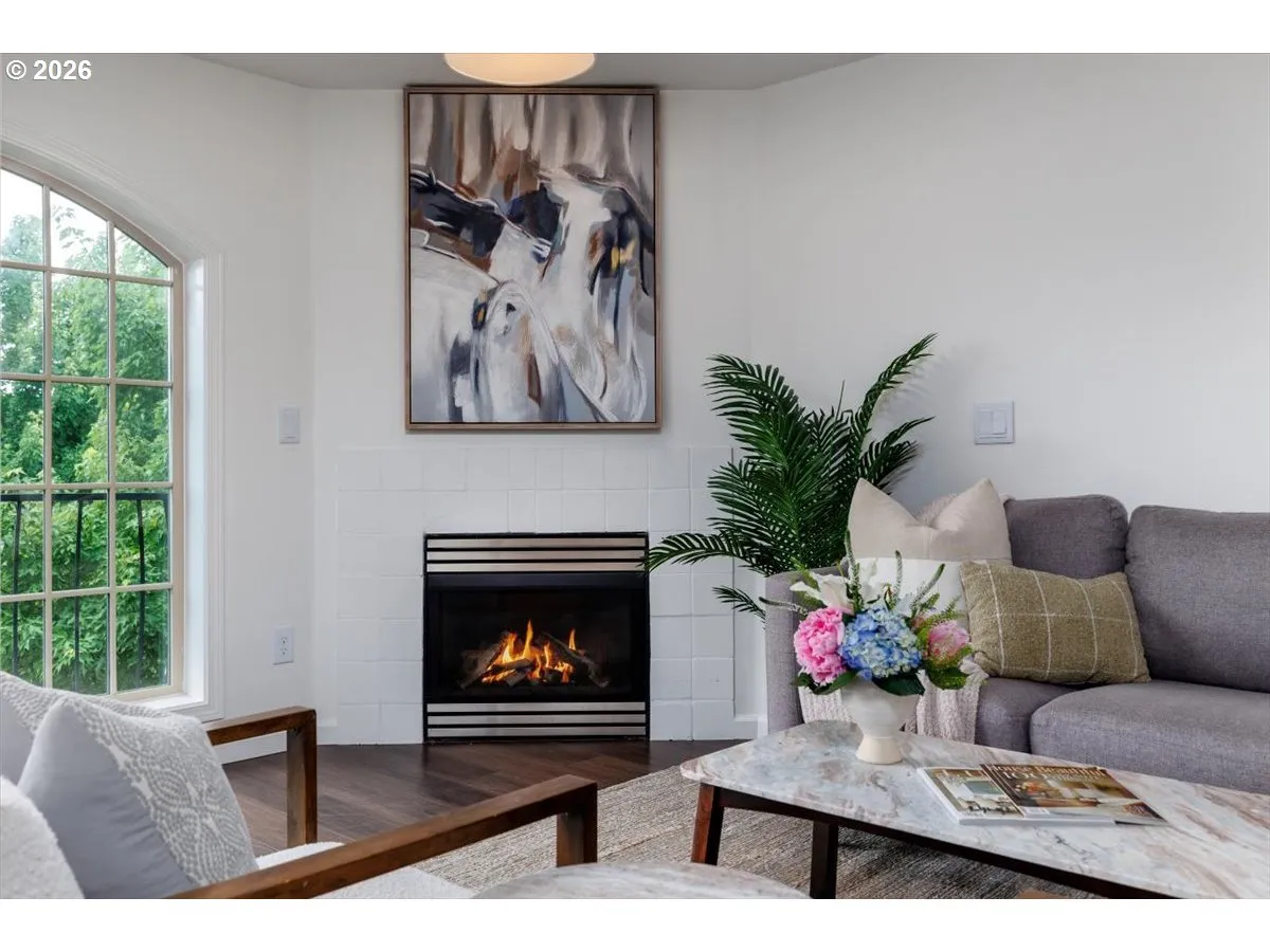 Fireplace Gas