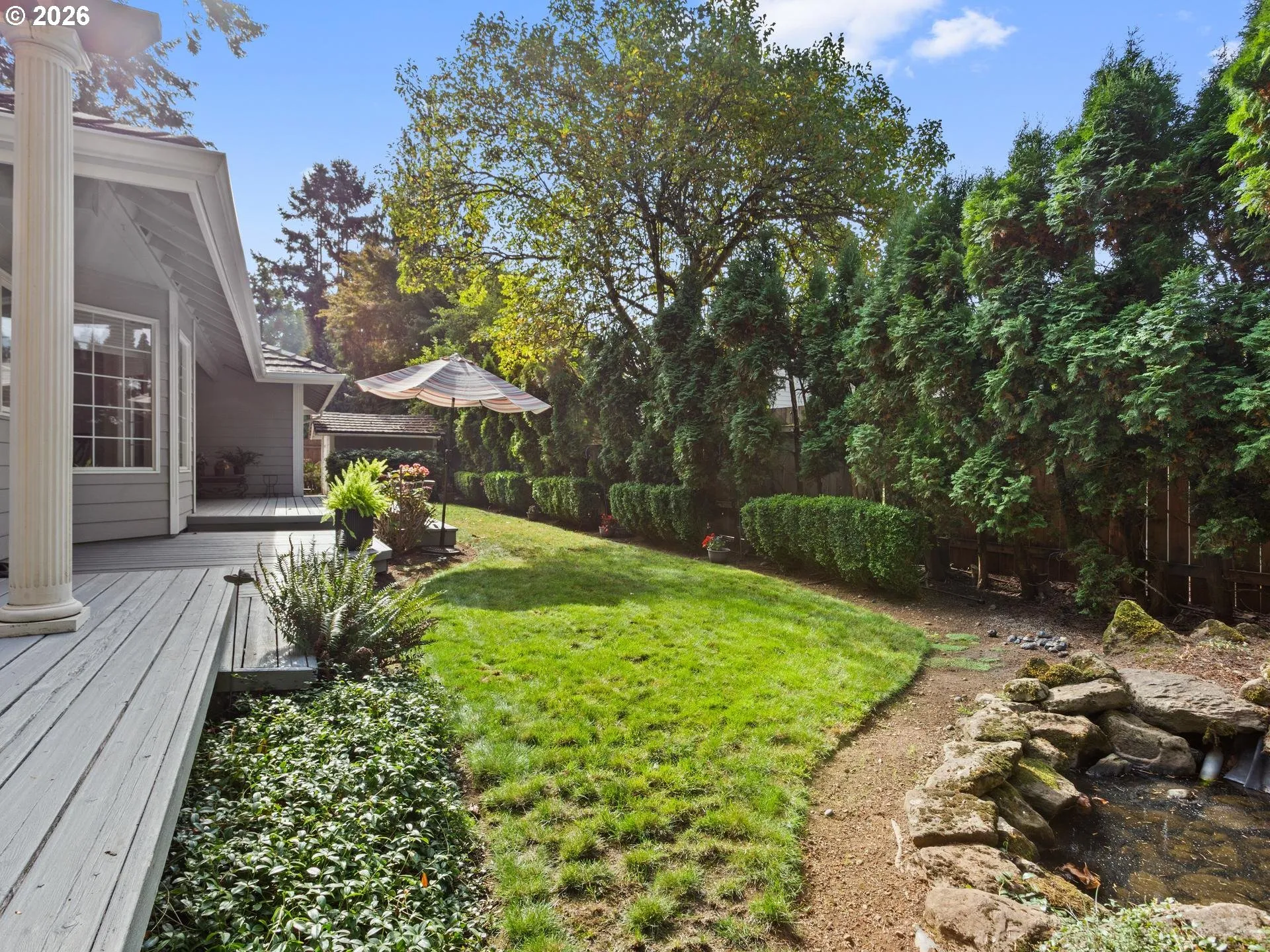 Backyard-View From