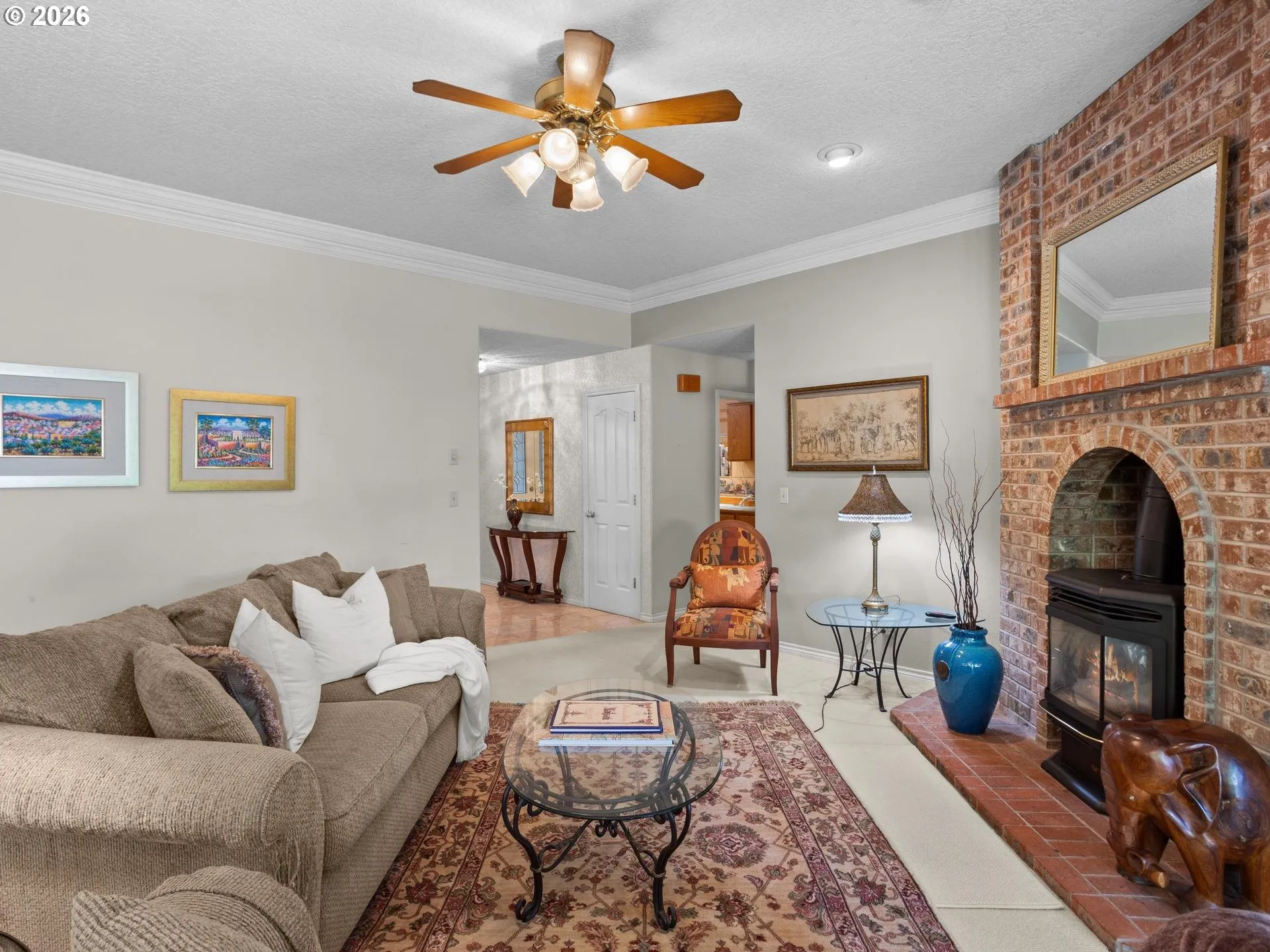 Fireplace Gas Burning Stove/Insert