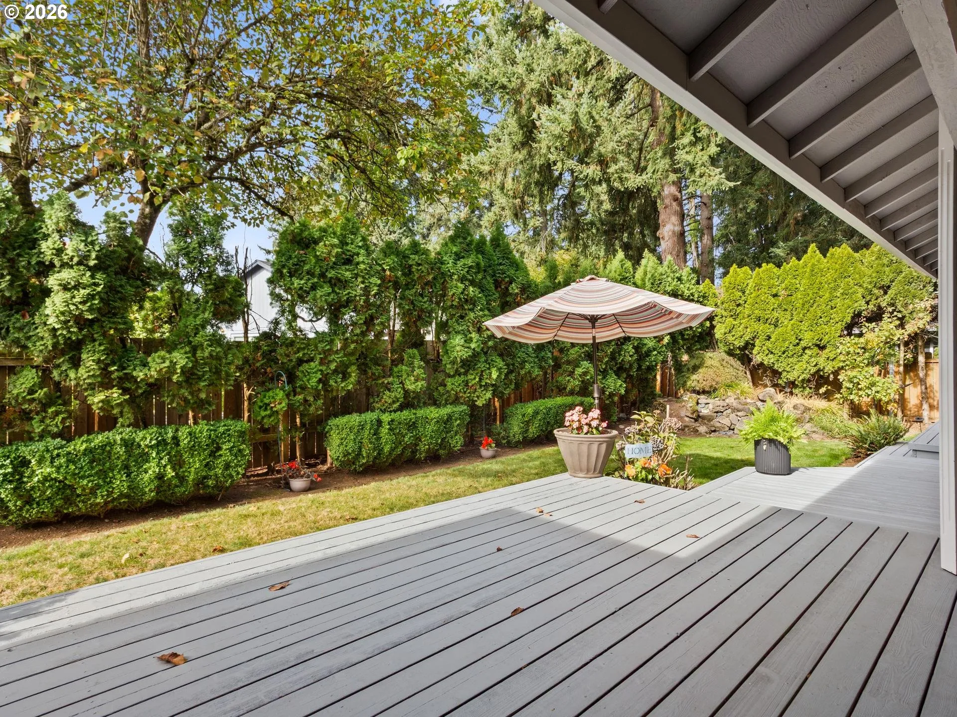 Backyard-View From