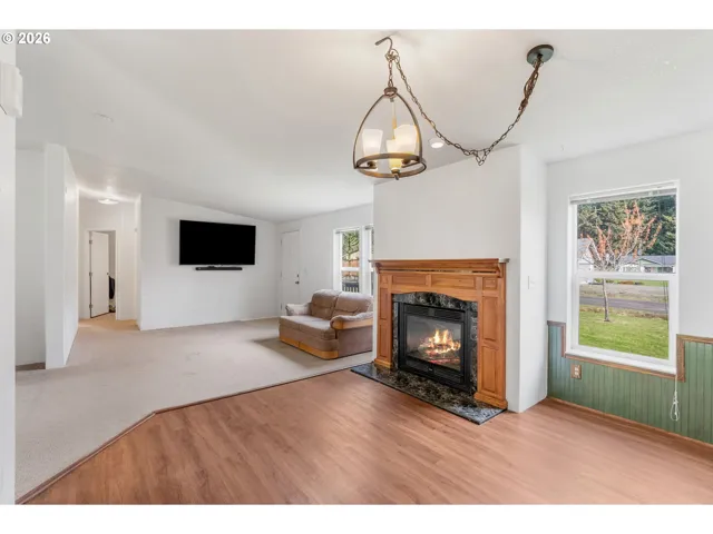 Fireplace Gas Burning Stove/Insert