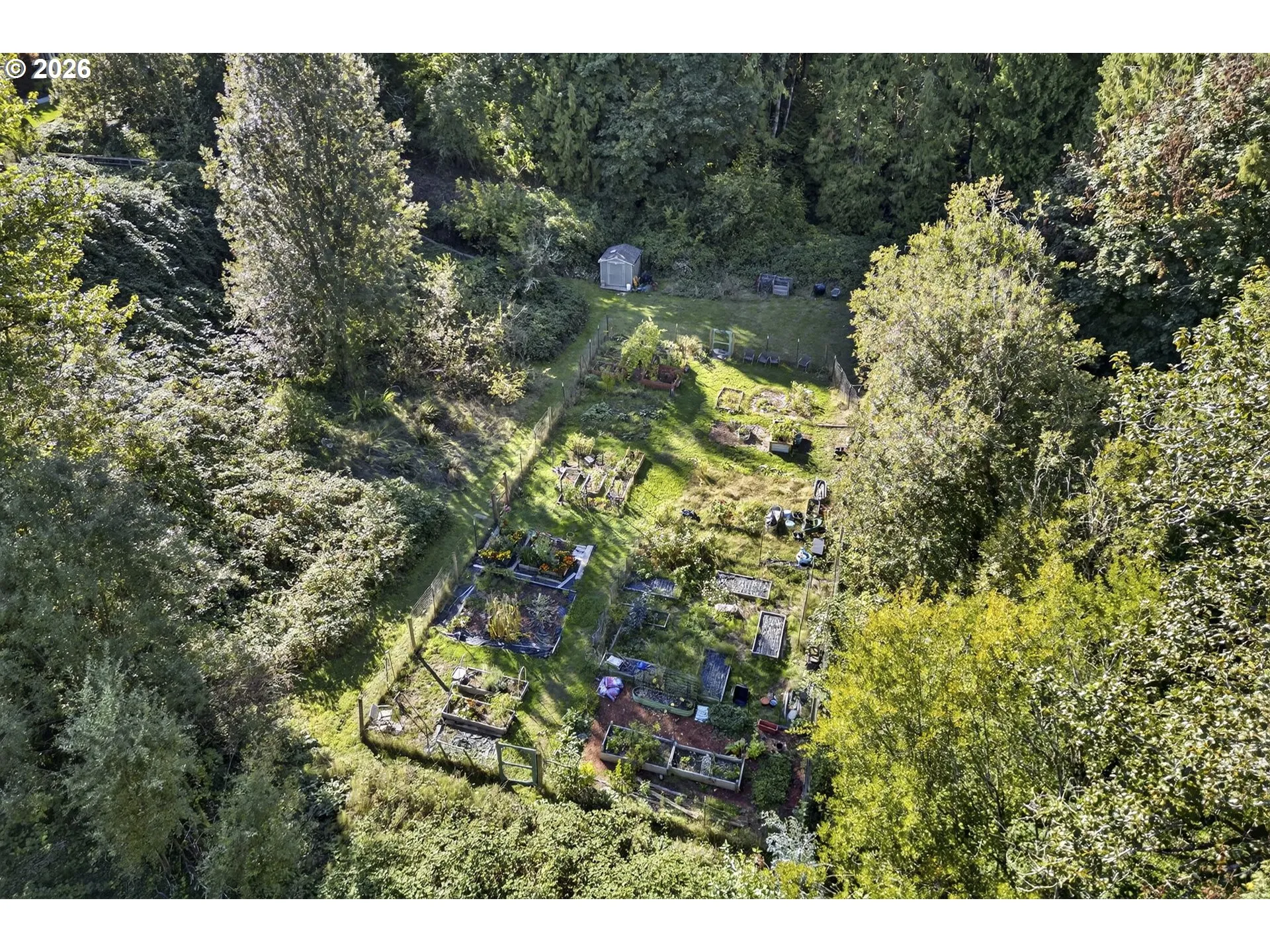 Community Garden