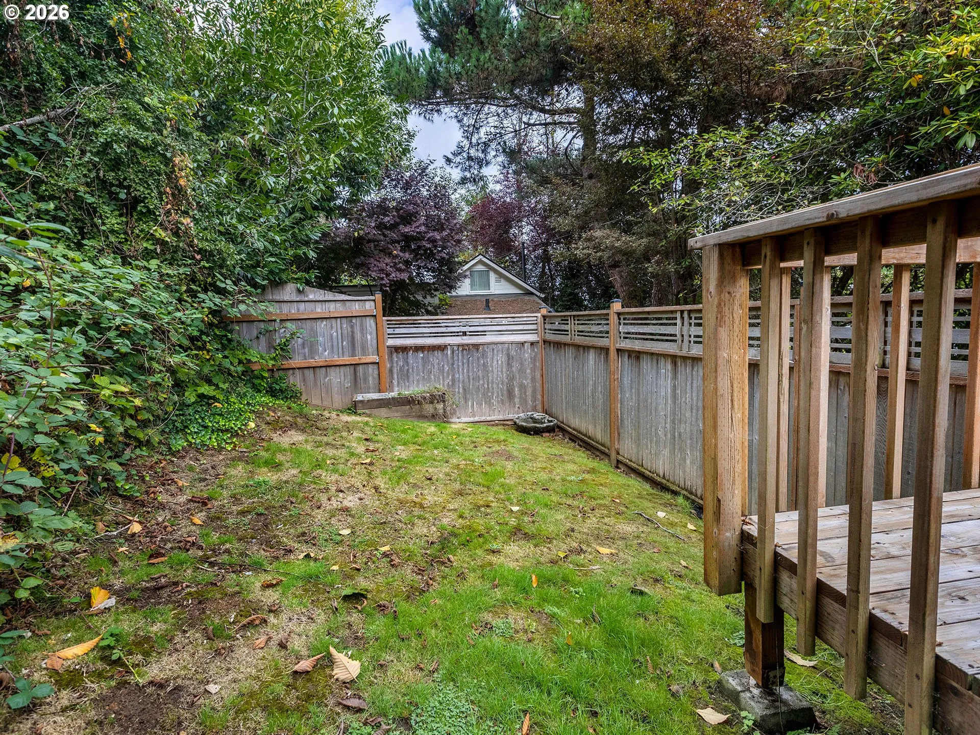 Backyard-Fenced