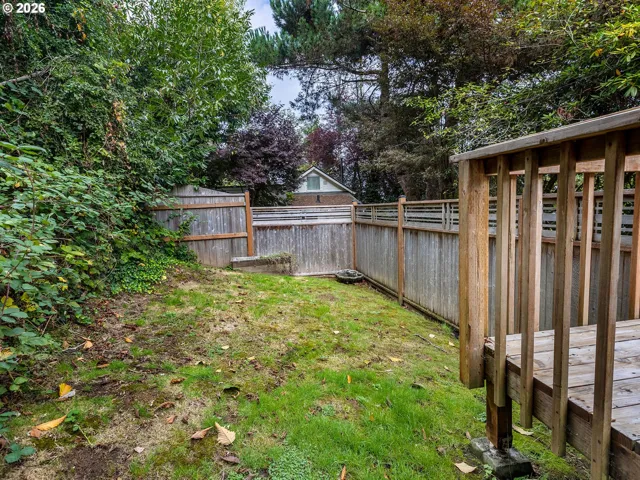 Backyard-Fenced