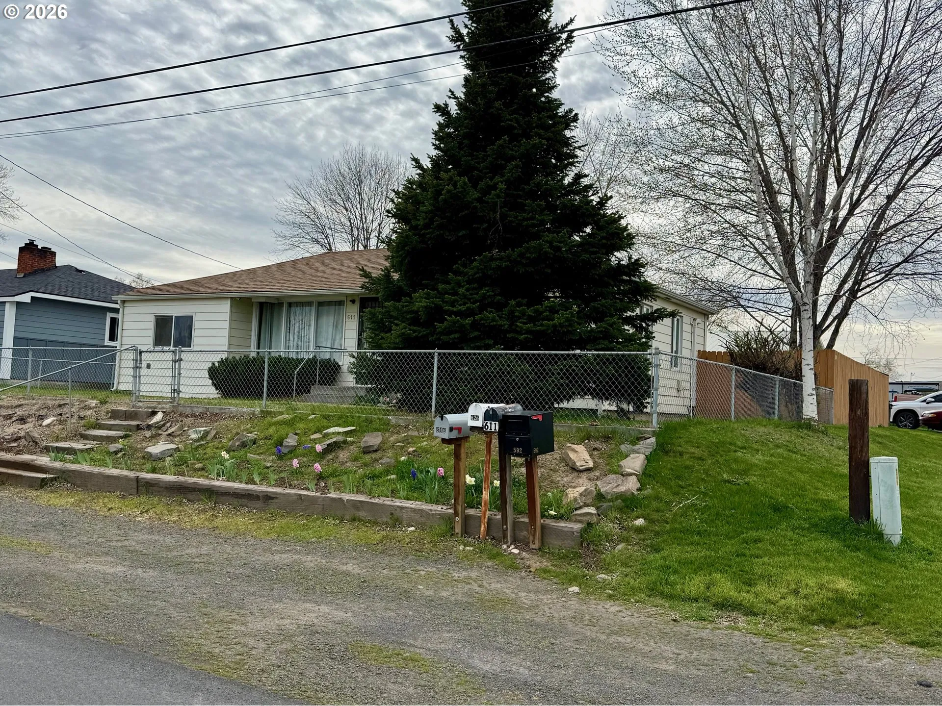 Front Yard