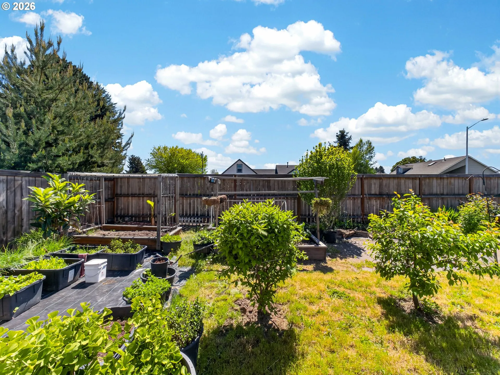 Backyard