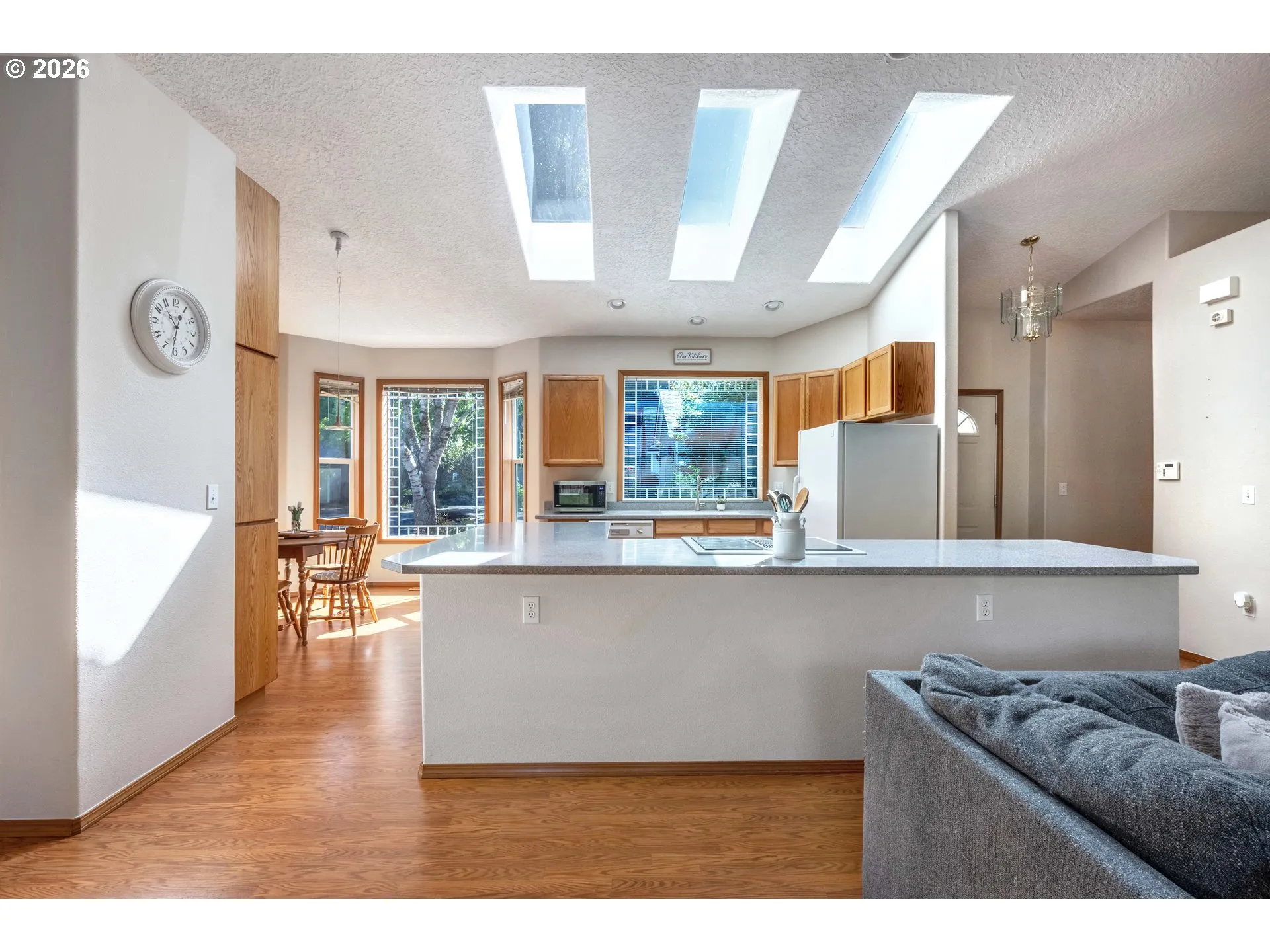 Great Room-Skylight