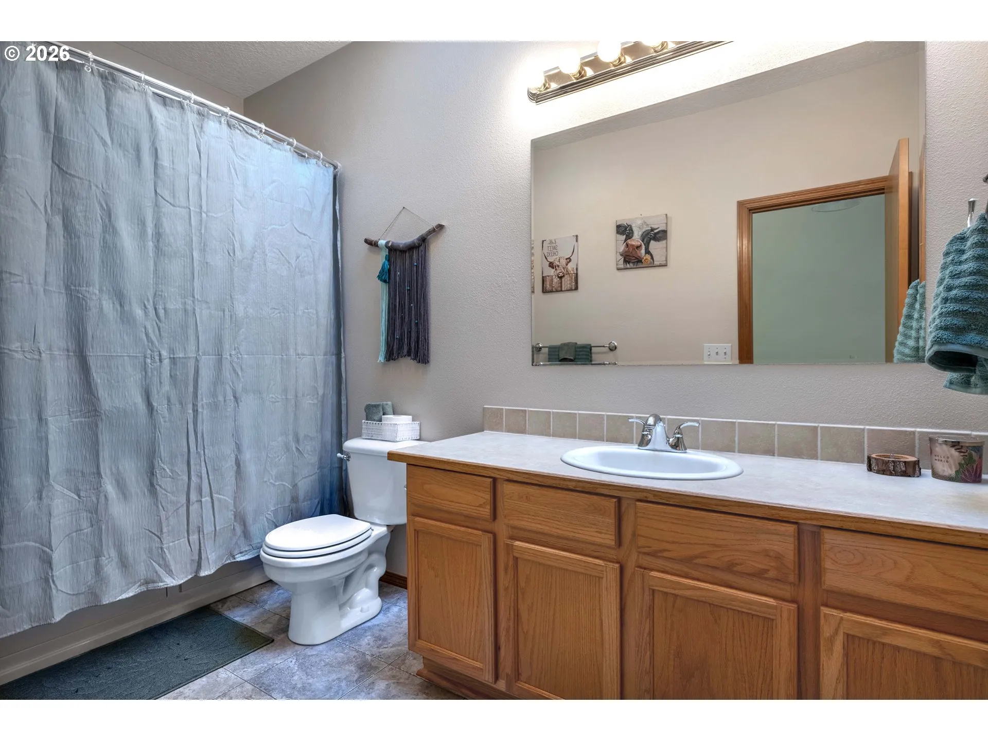Bathroom-Skylight