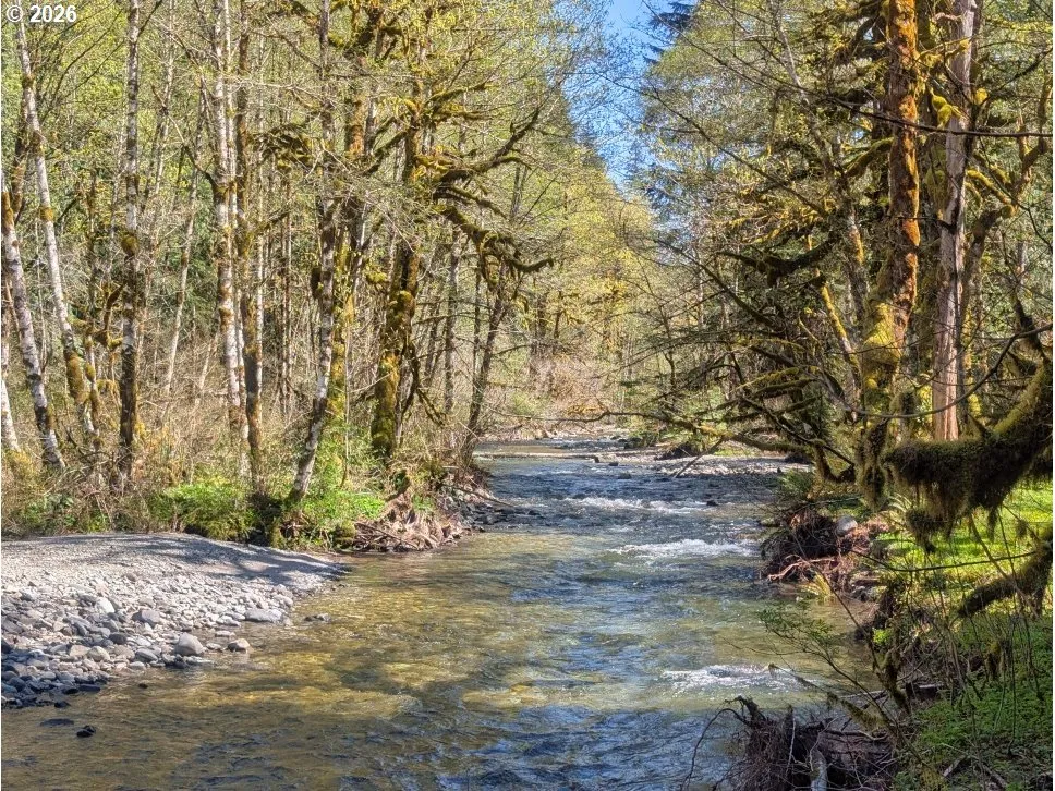 Creek