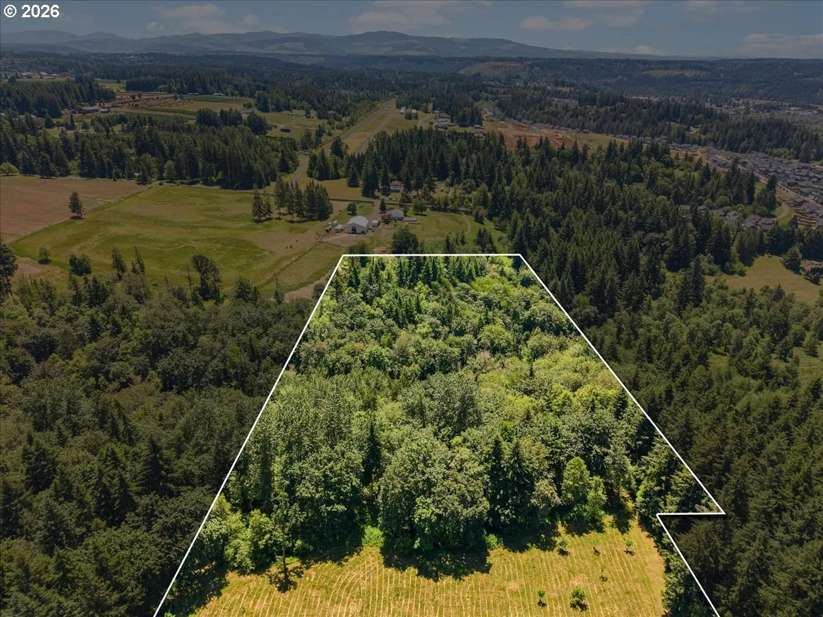 Approximate Property Lines-Wooded / Acreage