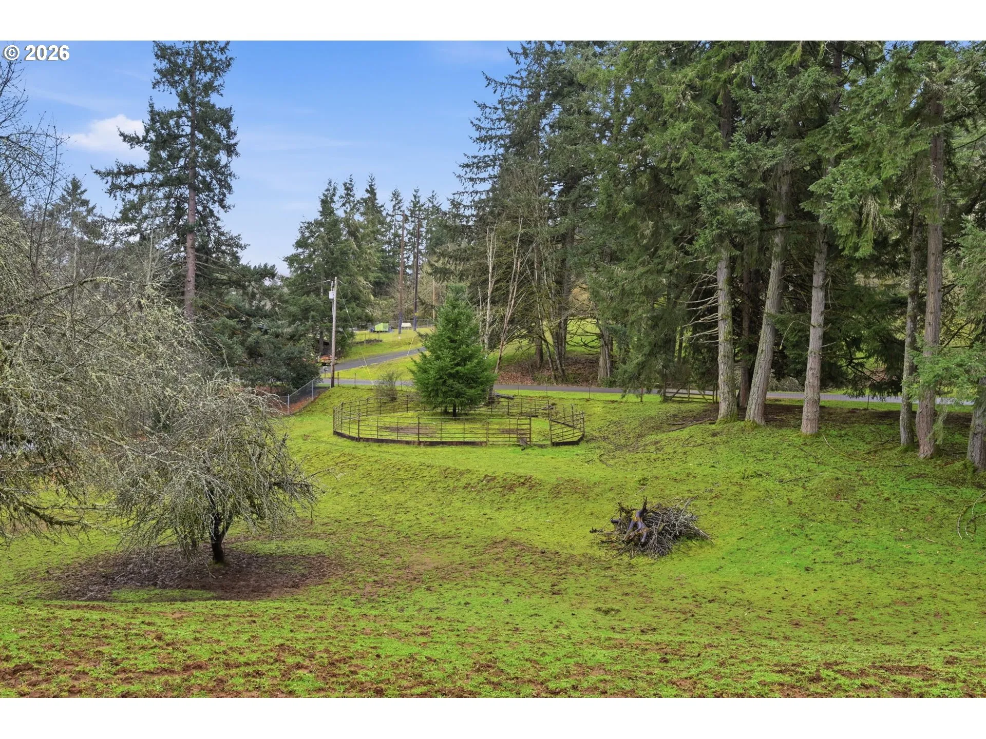 Pasture