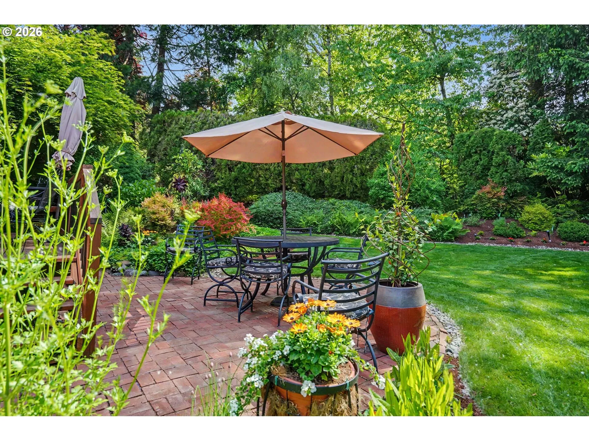 Backyard-View From