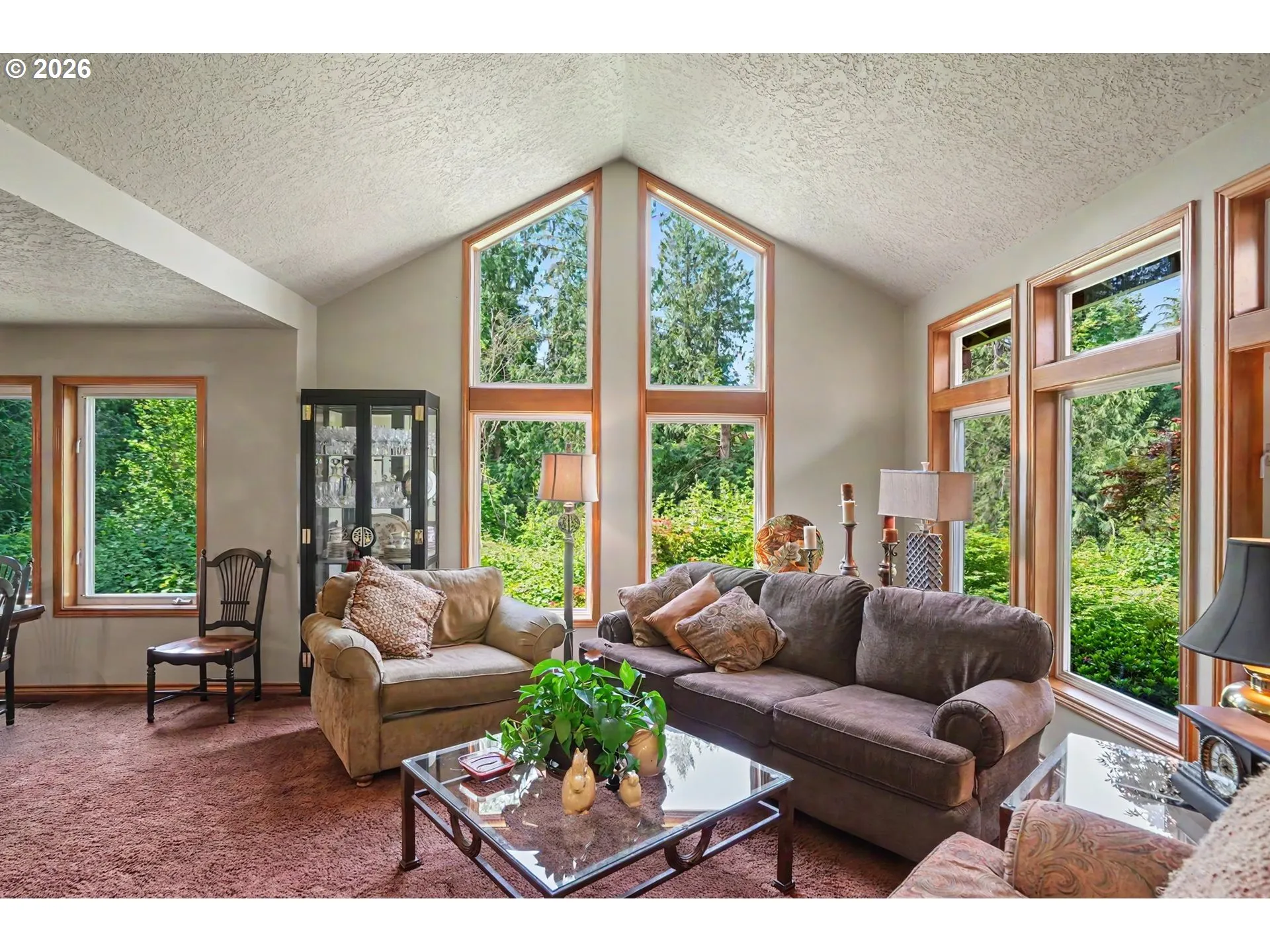 Living Room-Vaulted Ceilings