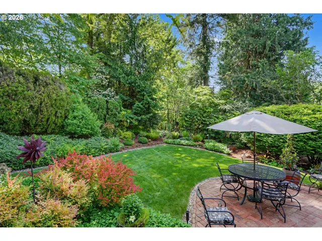 Backyard-View From