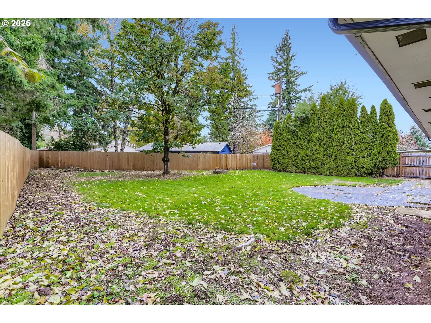 Backyard