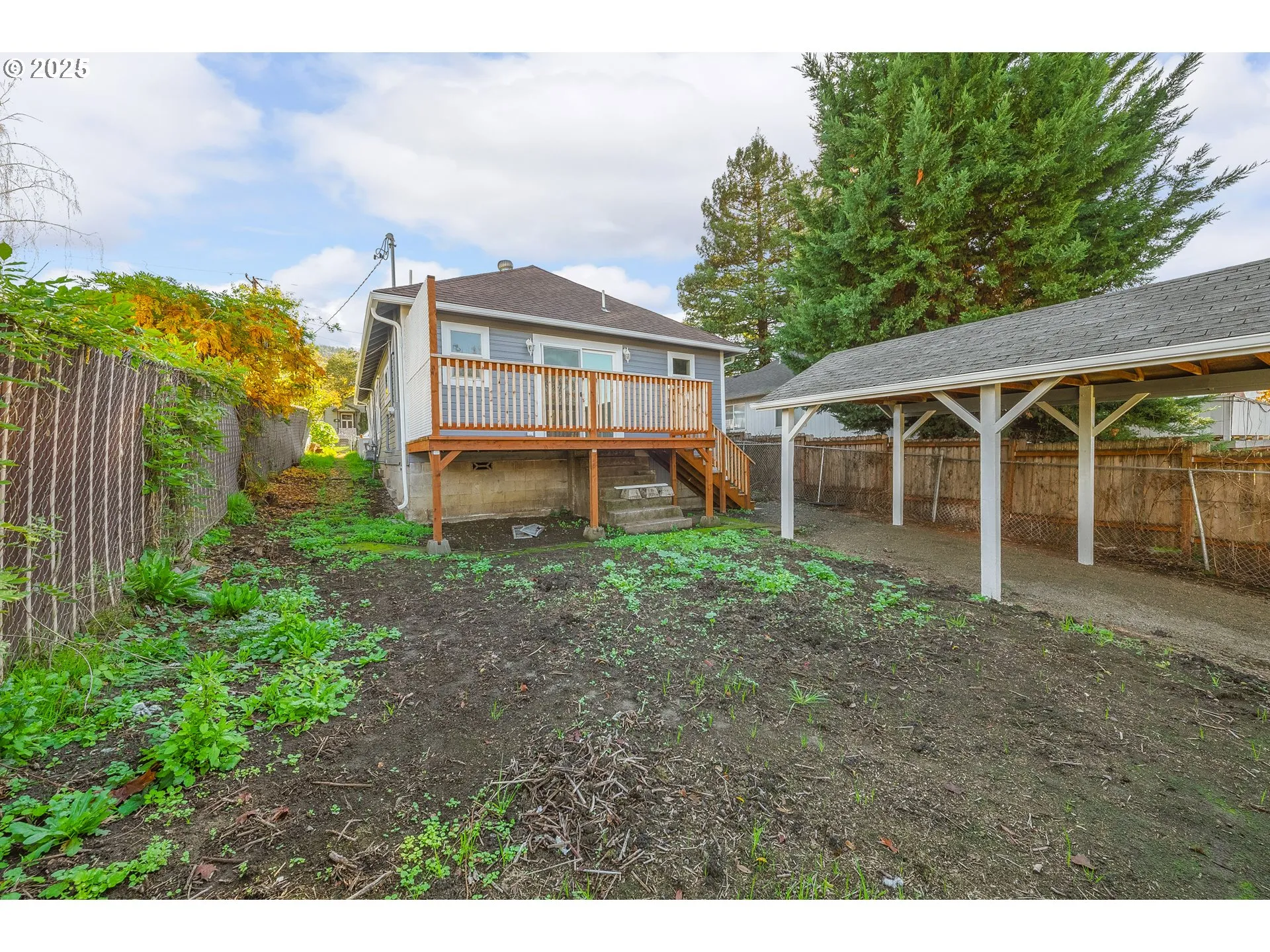 Backyard