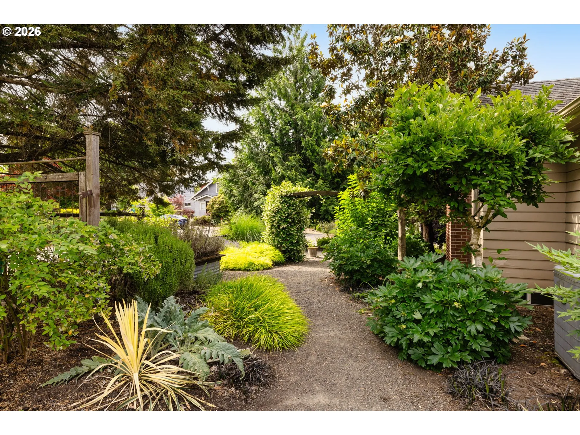 Front Yard