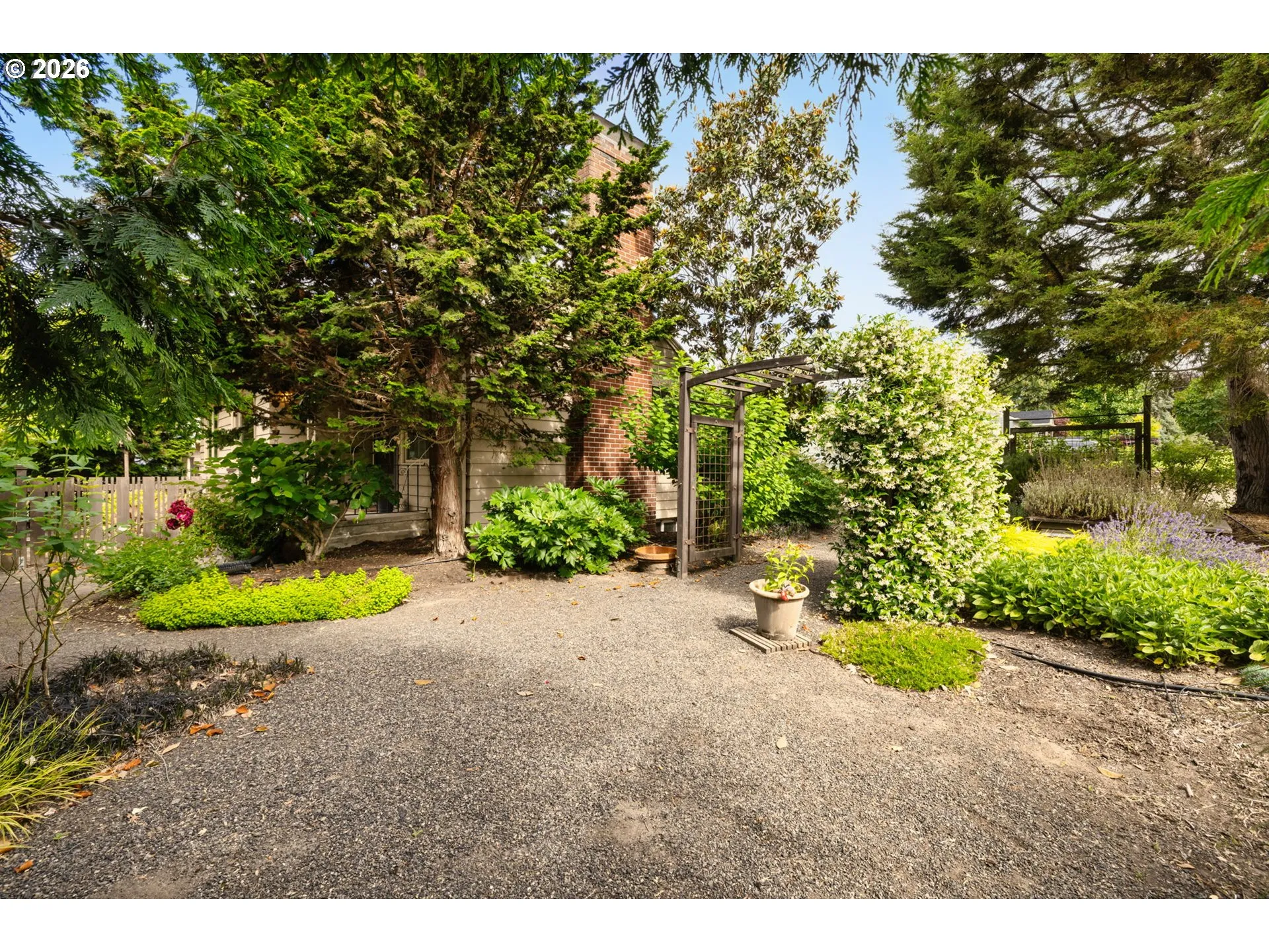Front Yard